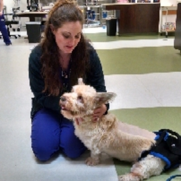 Meet your Posher, Emilia - Picture 3 of 9